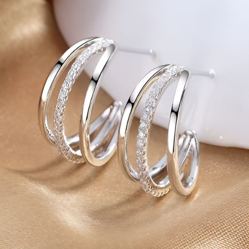 Silver Claws Stud Earrings