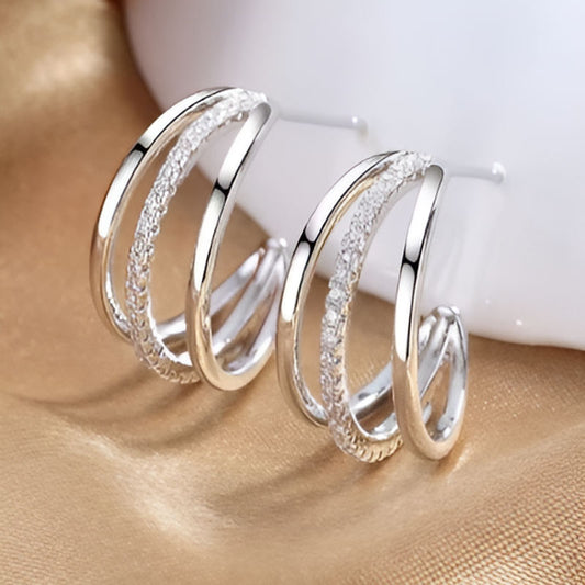 Silver Claws Stud Earrings