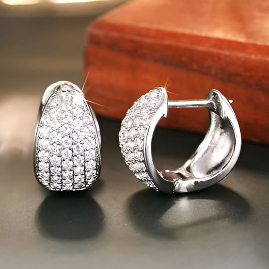 Silver Temperament Earrings