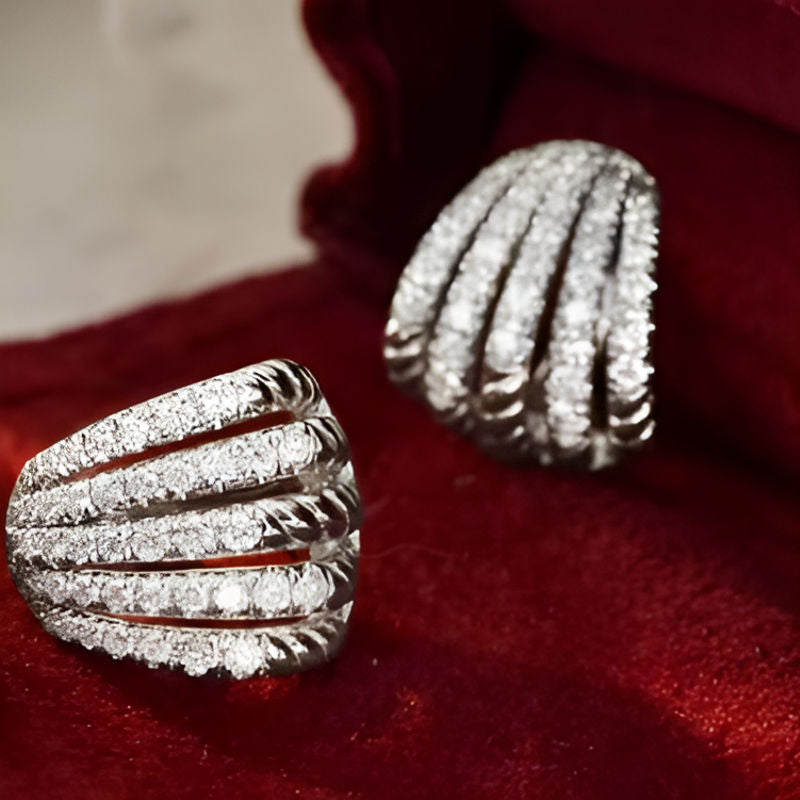 Silver Claws Design Hoop Earrings