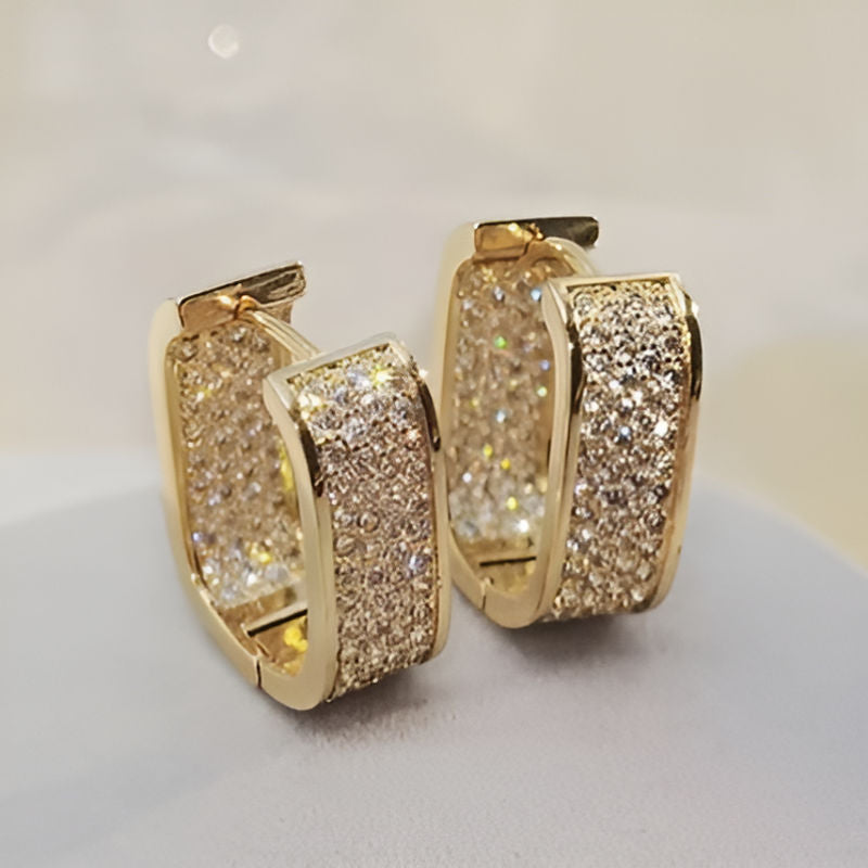 Elegant Full Paved Shiny Earrings