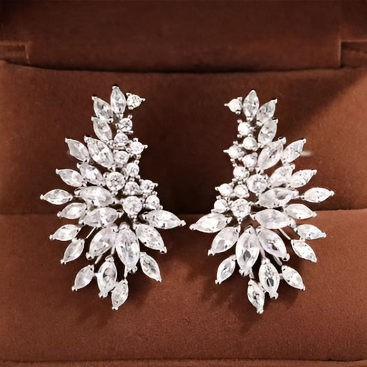 Silver Full Paved Earrings