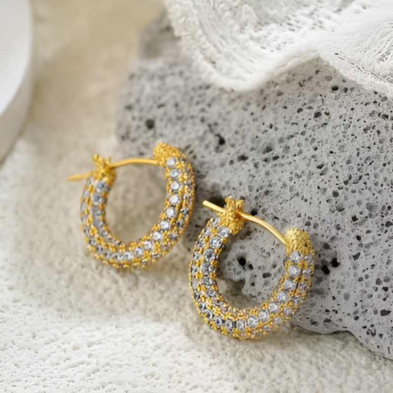 Gold Sparkling Zircon Earrings