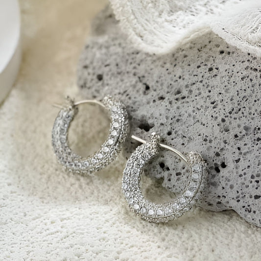 Silver Sparkling Zircon Earrings